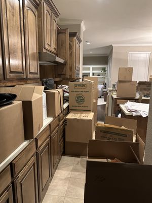 Item cataloguing and inventory system for property clearing in Toronto showing professional documentation in GTA